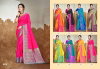 Pochampalli 17 By Bunawat Silk Traditional Woven Sarees Exporters In India